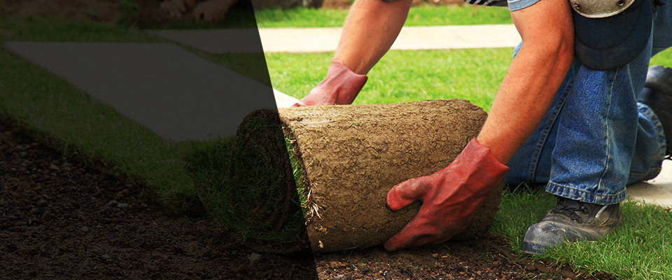 East Bernard Landscapers